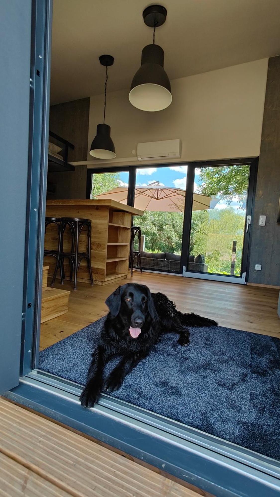 Вілла Tinyhousebeidresden 3 Fuer 2 - 7 Personen, Naehe Saechsische Schweiz, Dresden, Mit Badeteich Grossharthau Екстер'єр фото